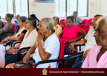 APMM 11