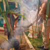Ponagl Celebration_2022 at Divisional Secretariat Wanathavilluwa